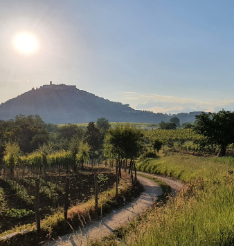 Day trips around Istria